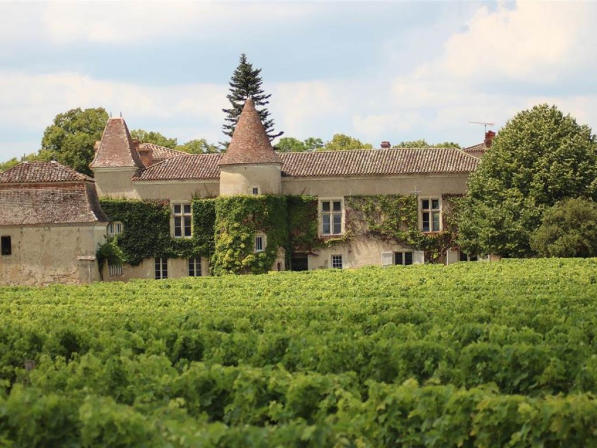 Balade au milieu des vignes et pruniers du Frandat - Bonjour Fun