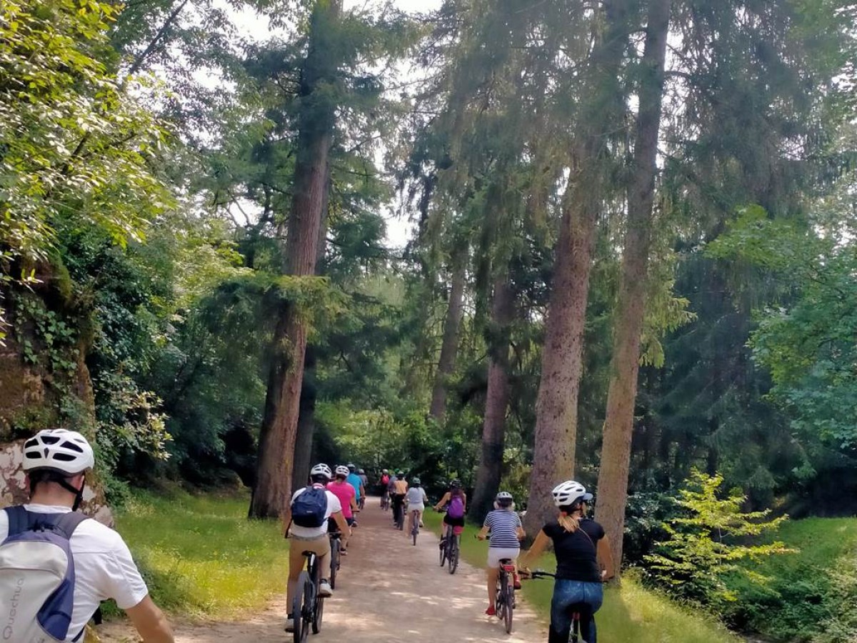 Balade autour du Lac de Lenclas : Nature et détente en vélo électrique - Bonjour Fun
