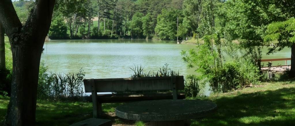 Balade autour du Lac de Lenclas : Nature et détente en vélo électrique - Bonjour Fun