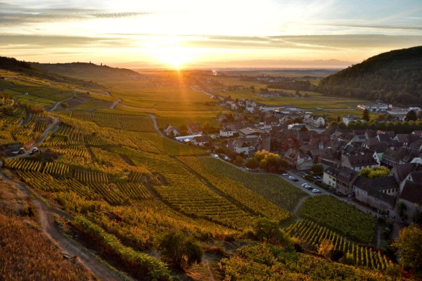 Balade dans le Schlossberg et dégustation de vins de terroirs - Bonjour Fun