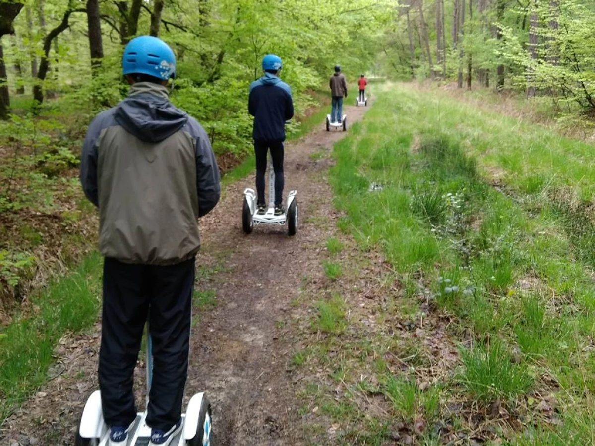 Balade découverte en forêt de Rennes/ Liffré / Saint Sulpice. - Bonjour Fun