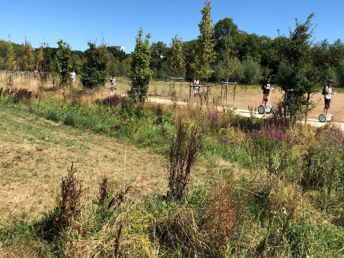 Balade découvertes aux prairies Saint Martin , Rennes. - Bonjour Fun