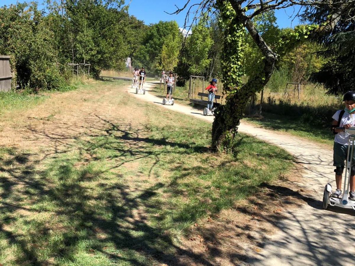 Balade découvertes aux prairies Saint Martin , Rennes. - Bonjour Fun