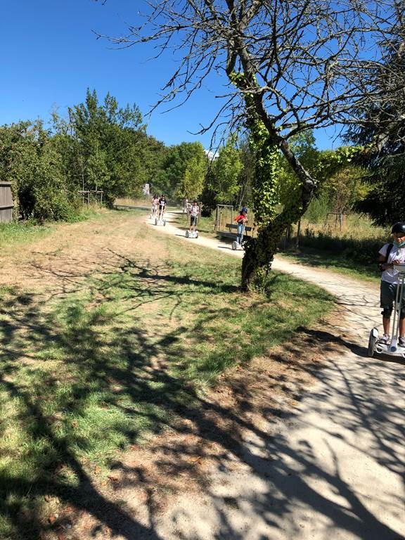 Balade découvertes aux prairies Saint Martin , Rennes. - Bonjour Fun
