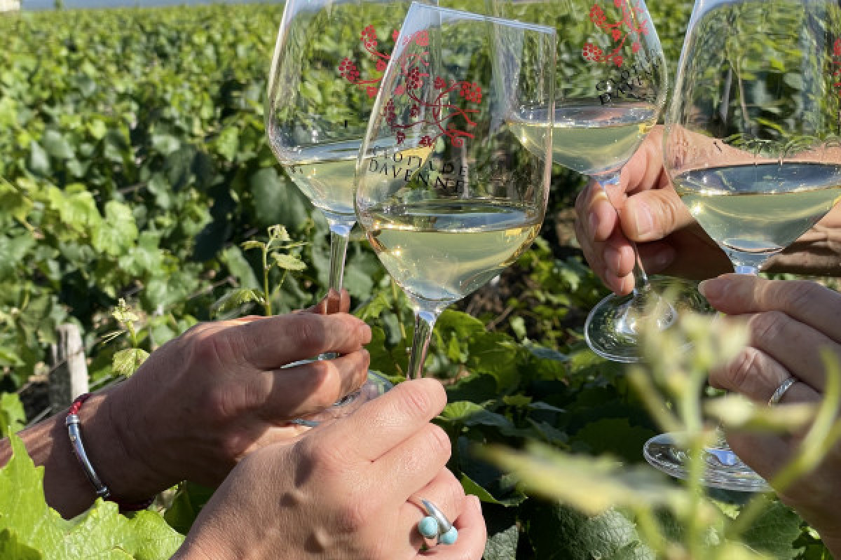 Balade des Grands Crus en e-Mehari et dégustation de Chablis - Bonjour Fun