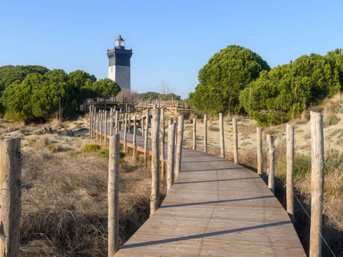 Balade en Camargue : Du Grau du Roi au Phare de l’Espiguette en vélo électrique - Bonjour Fun