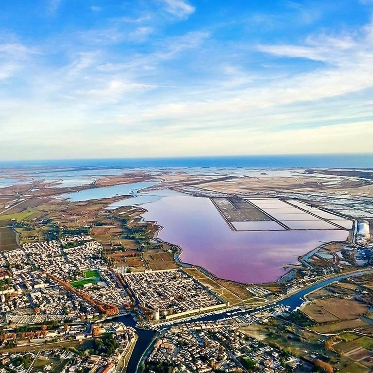 Balade en liberté en vélo électrique au coeur des SALINS d'Aigues-Mortes - Bonjour Fun