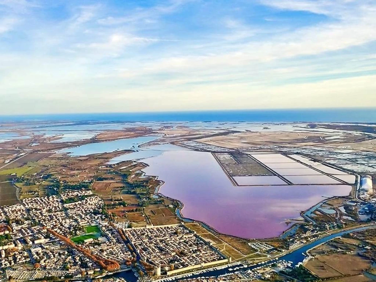 Balade en liberté en vélo électrique au coeur des SALINS d'Aigues-Mortes - Bonjour Fun