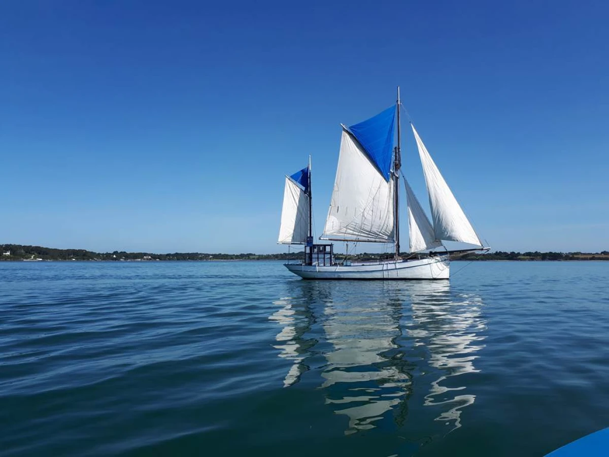 Balade en mer à la journée sur la Boréale - Bonjour Fun