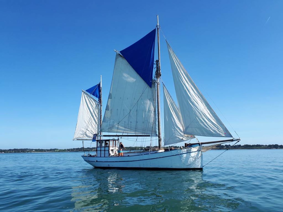 Balade en mer sur la Boréale Demi journée - Bonjour Fun