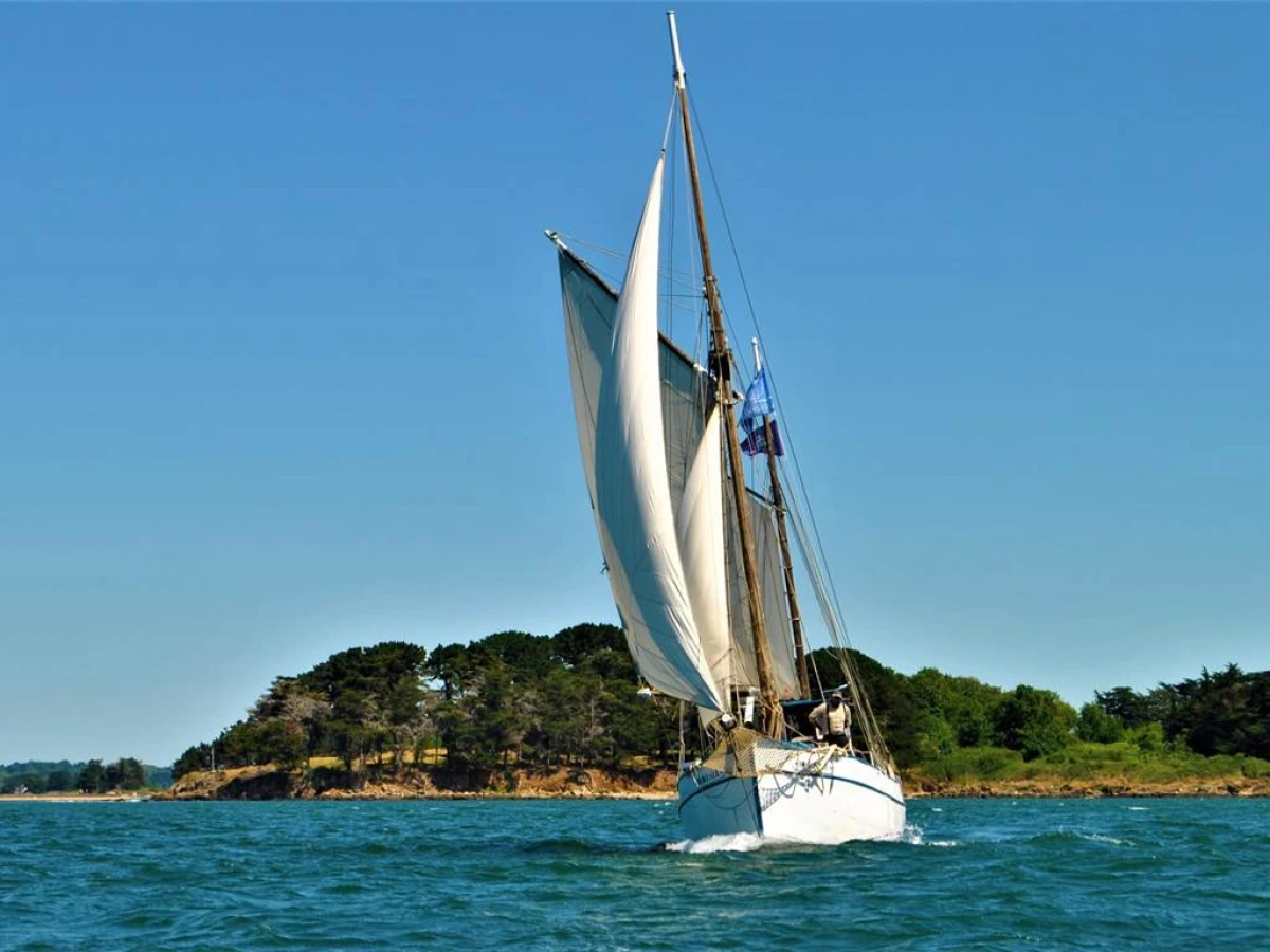 Balade en mer sur la Boréale Demi journée - Bonjour Fun