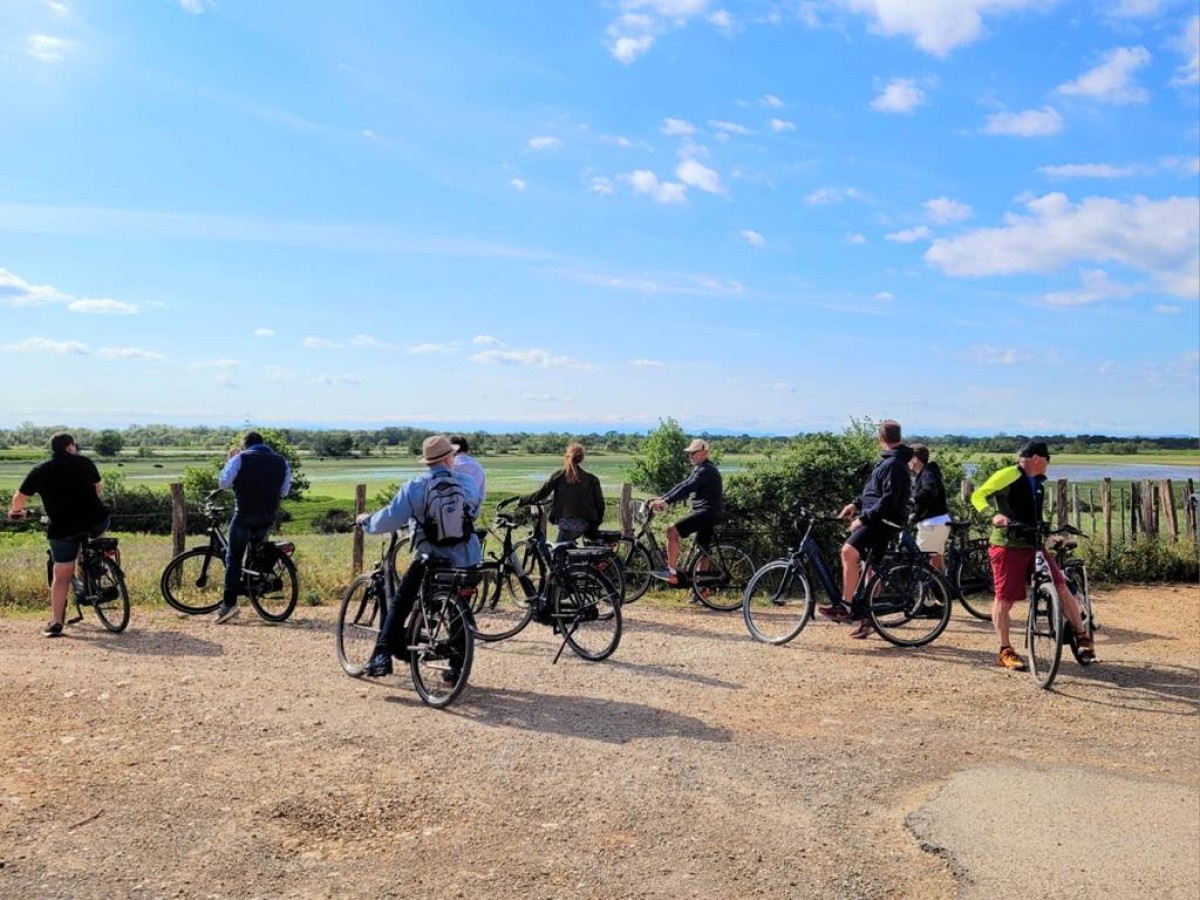 Balade en Petite Camargue : la découverte des trésors de la Camargue Gardoise en vélo électrique - Bonjour Fun