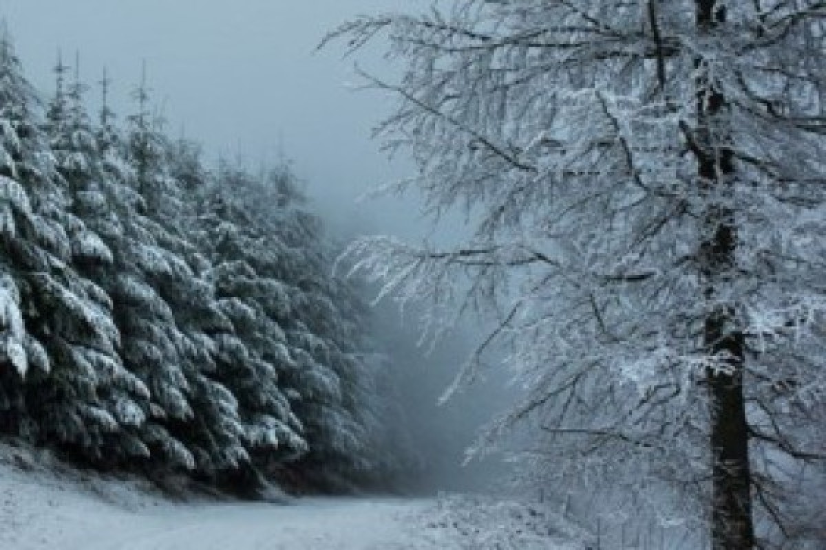 Balade en raquettes à neige Storkenkopf - Bonjour Fun