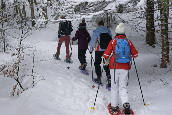 Balade en raquettes et repas en auberge - Bonjour Fun