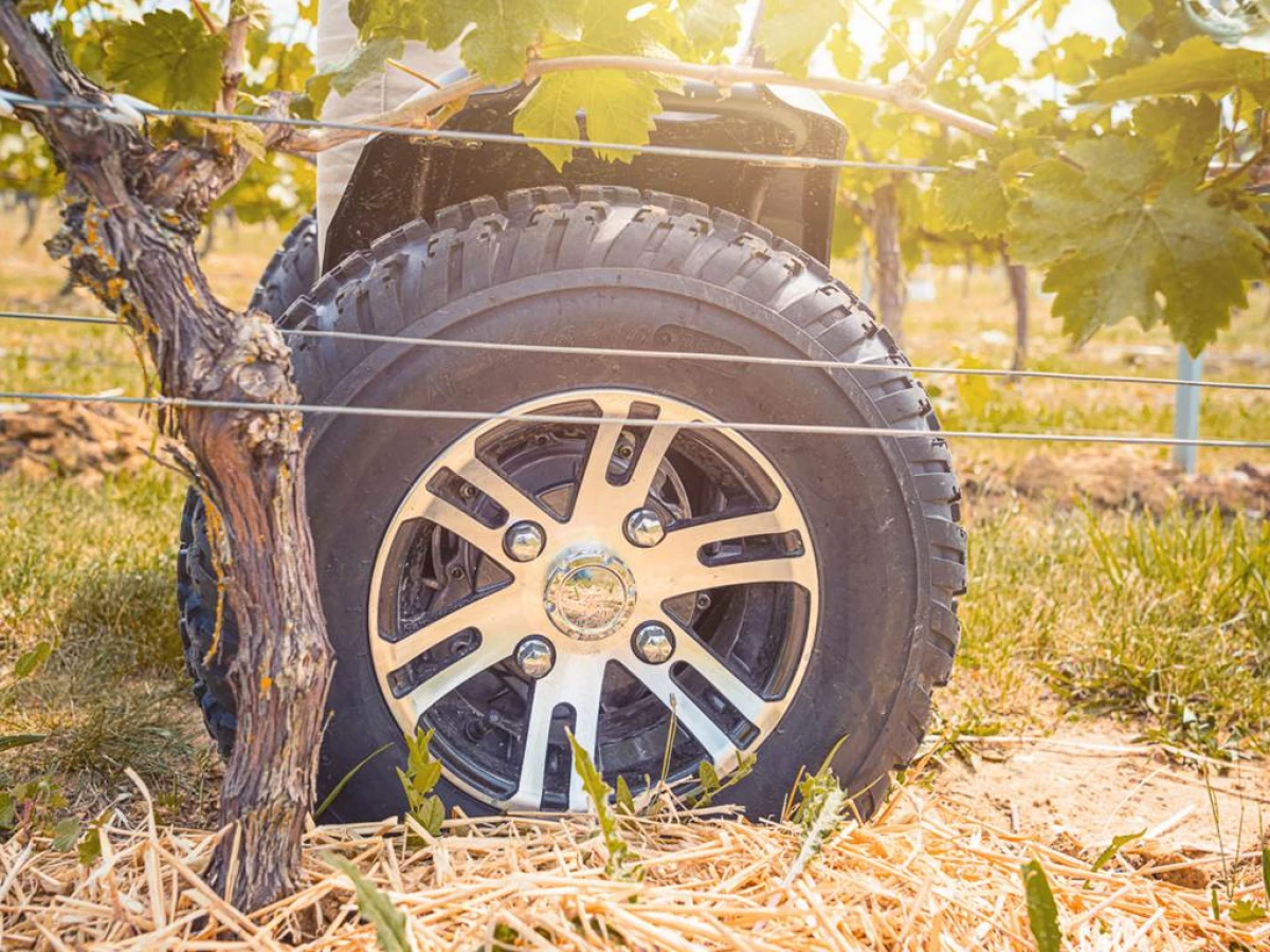 Balade en trottinette electrique dans le vignoble - Bonjour Fun