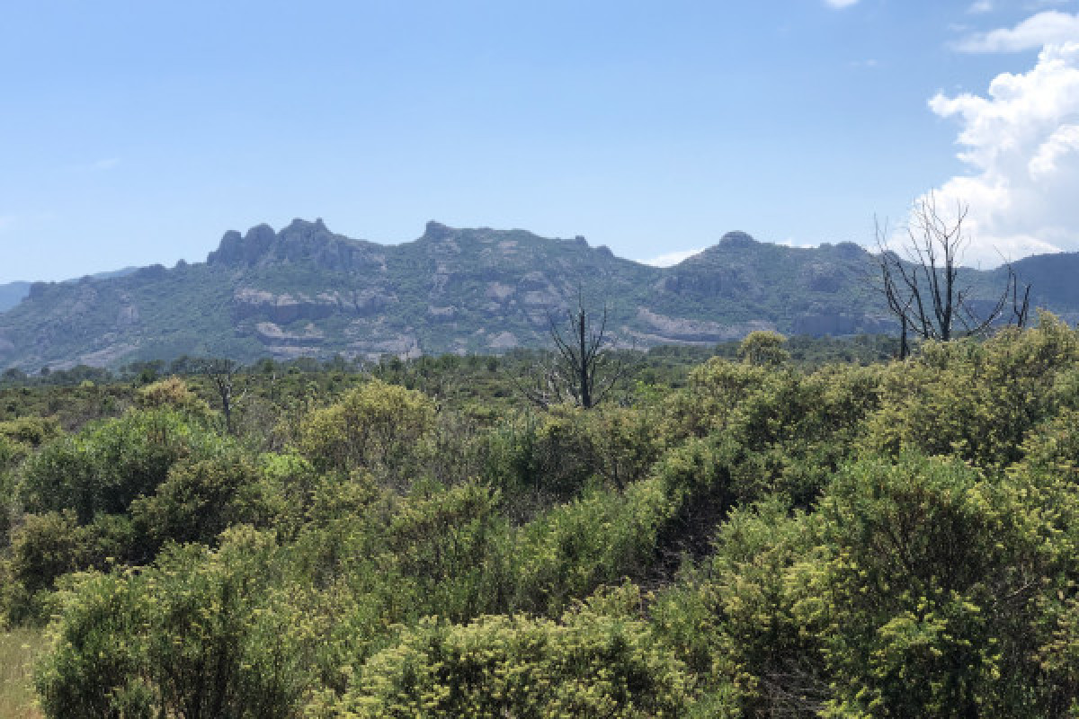 Balade en VTT électrique plateau du Rouet - Bonjour Fun