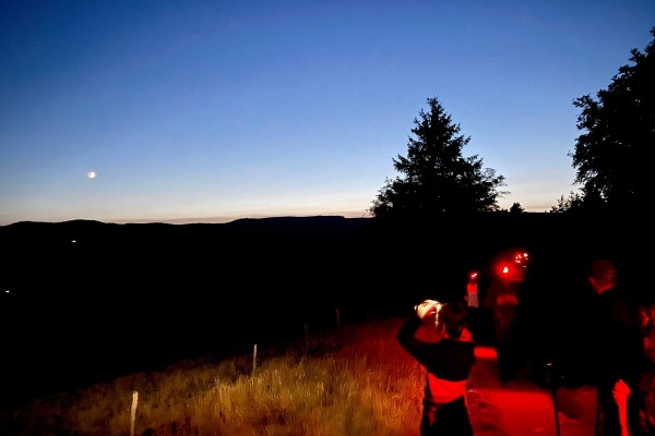 Balade la tête dans les étoiles - Bonjour Fun