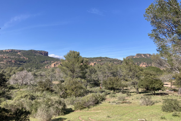 Balade naturaliste de l'homo Bouvérien - Bonjour Fun