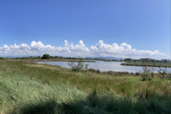 Balade naturaliste des étangs de Villepey - Bonjour Fun