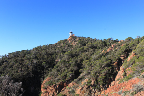 Balade naturaliste du Dramont - Bonjour Fun