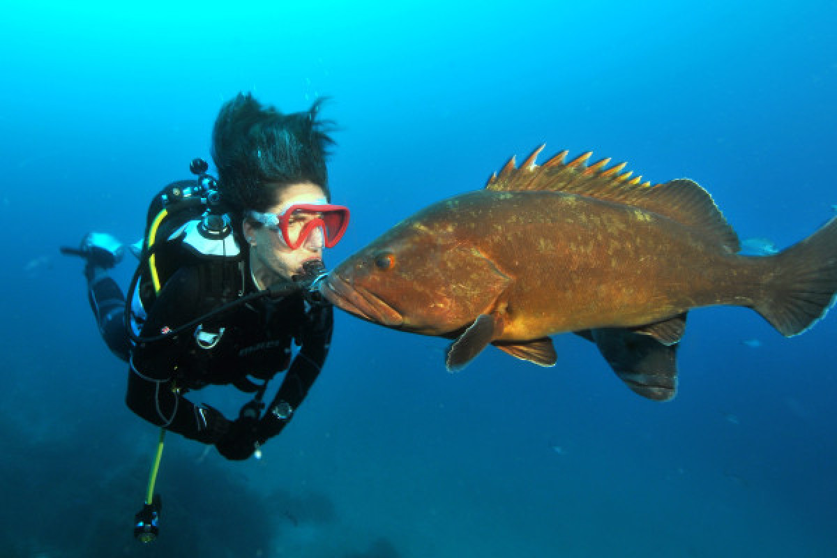 Baptême de plongée Bateau Hyères (Regiondo) - Bonjour Fun