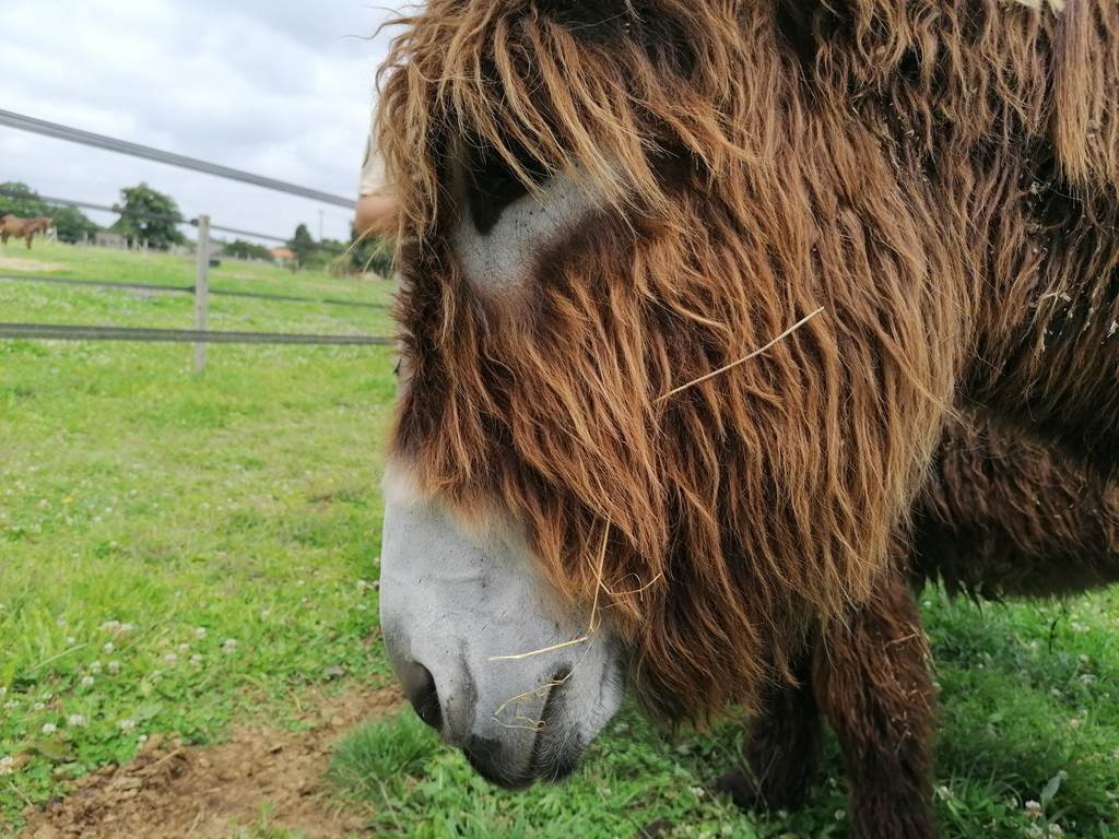 Billet couplé : "Escapade vélo de la Venise Verte" + "Elosparc" - Bonjour Fun