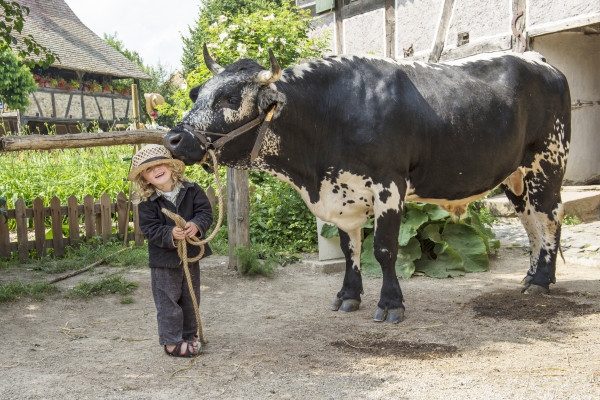 Billet d'entrée - Écomusée d'Alsace - Bonjour Fun