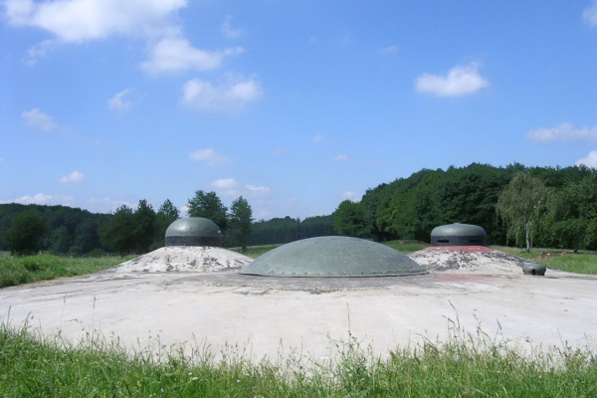 Billet d'entrée Ligne Maginot "Fort de Schoenenbourg" - Bonjour Fun