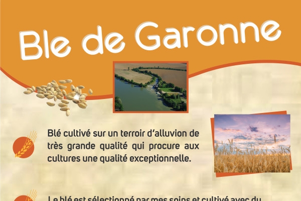 Bordeaux: Crêpes de Garonne - Bonjour Fun