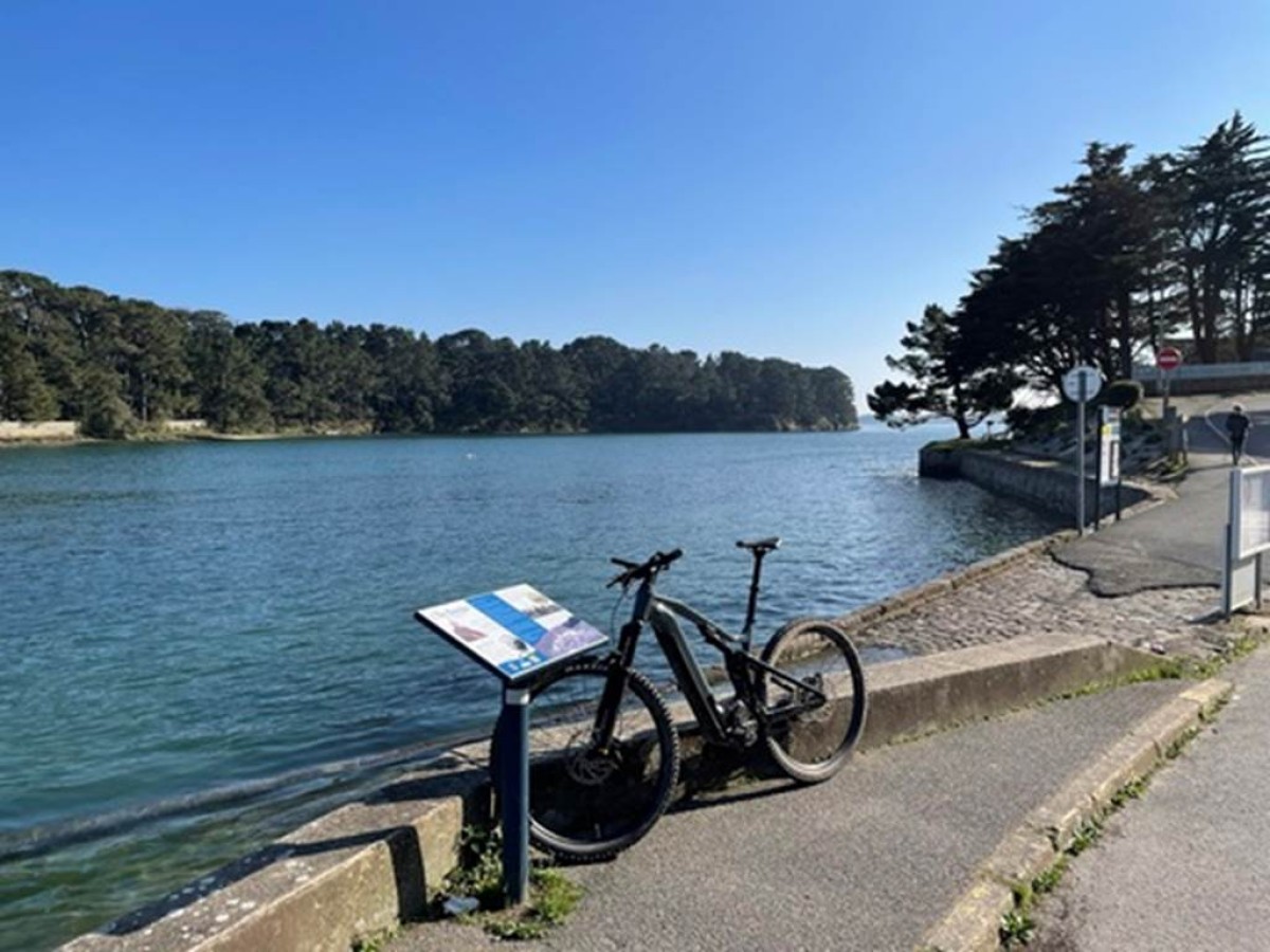 Boucle Bee's / 3 jours - Bonjour Fun