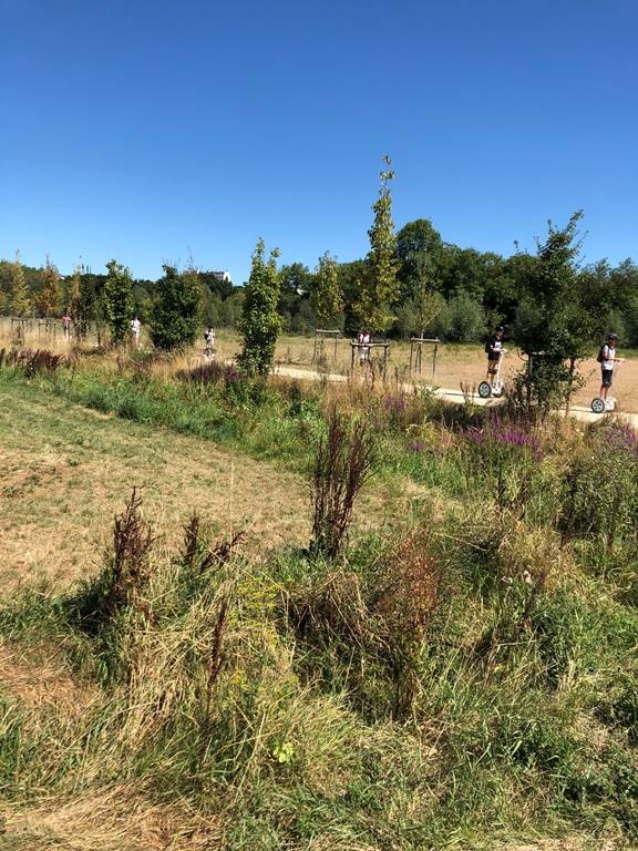 BRETAGNE GYROPODES - Bonjour Fun