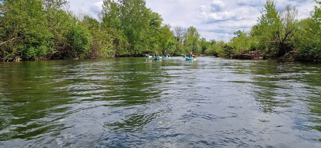 Bureau des Moniteurs "Shark'Aventures" : Une EXPERIENCE UNIQUE de 7 à 77 ans. - Bonjour Fun