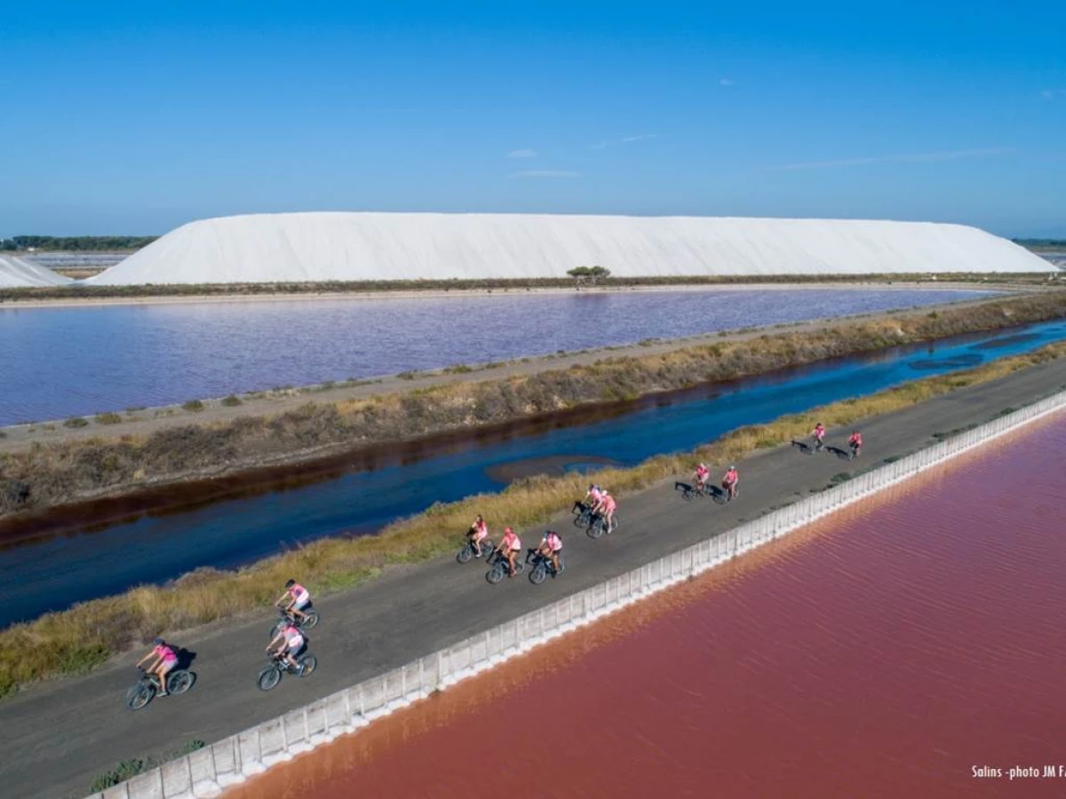 Camargue en vélo électrique : Au cœur des Salins d'Aigues-Mortes - Bonjour Fun