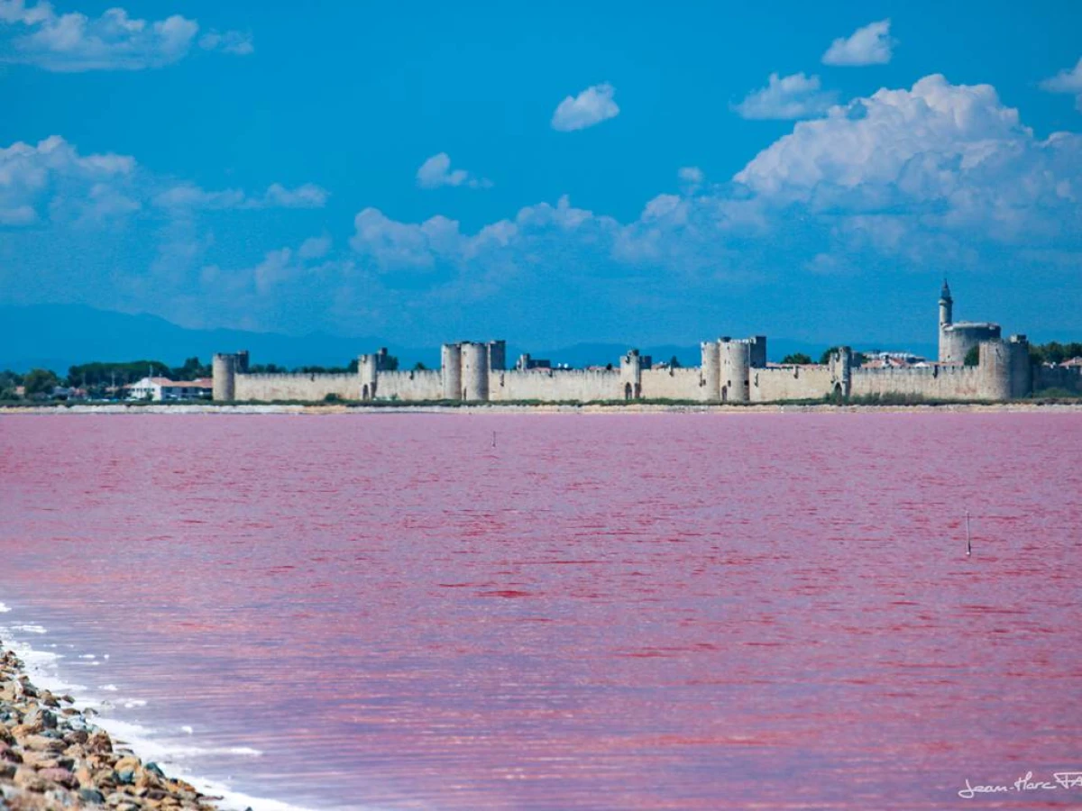 Camargue en vélo électrique : Au cœur des Salins d'Aigues-Mortes - Bonjour Fun