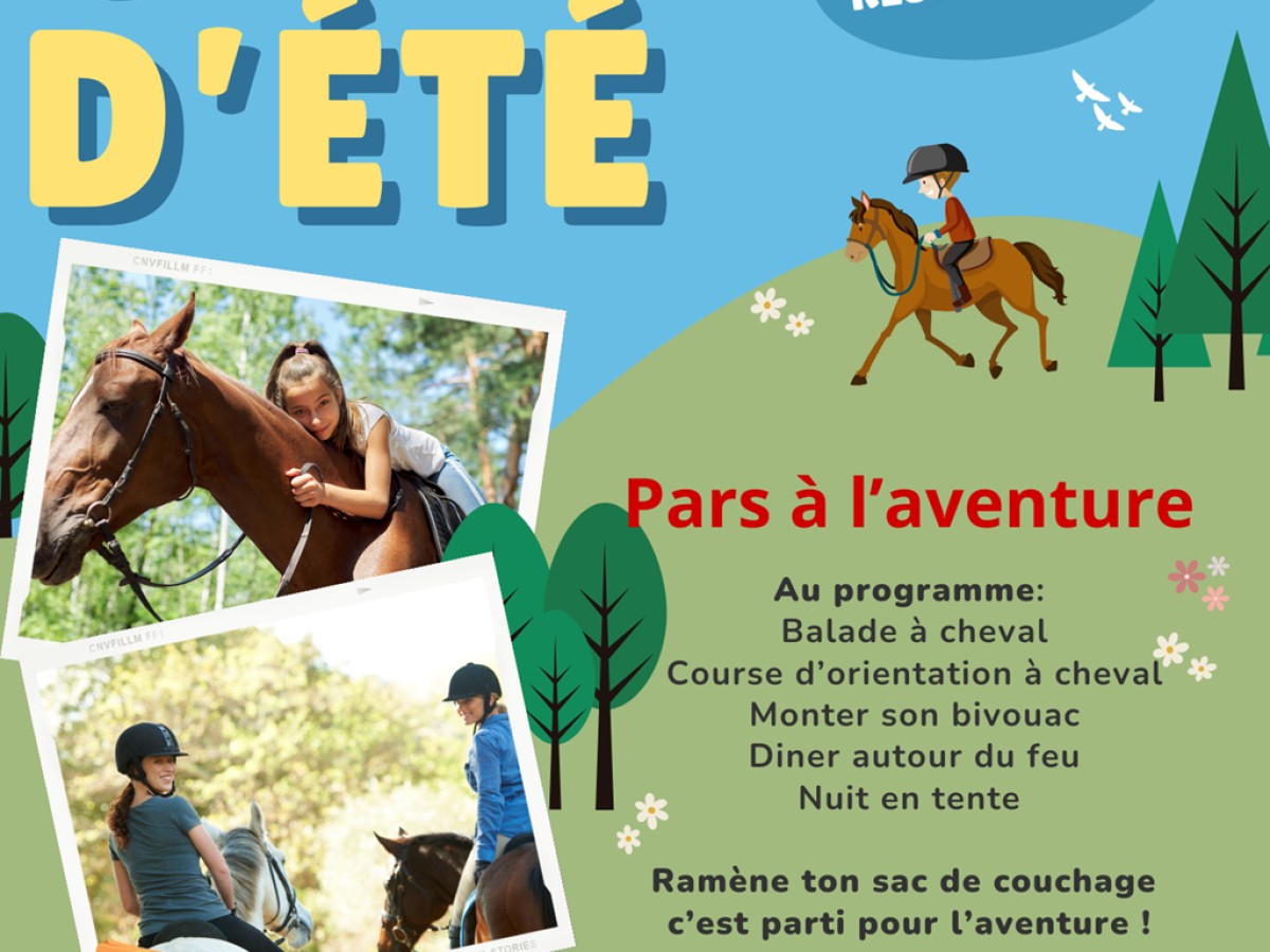 Camp d'été - Bonjour Fun