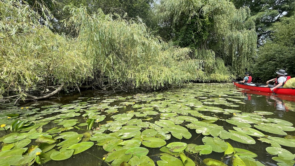 Canoë-Kayak Club de Pont-Réan - Bonjour Fun