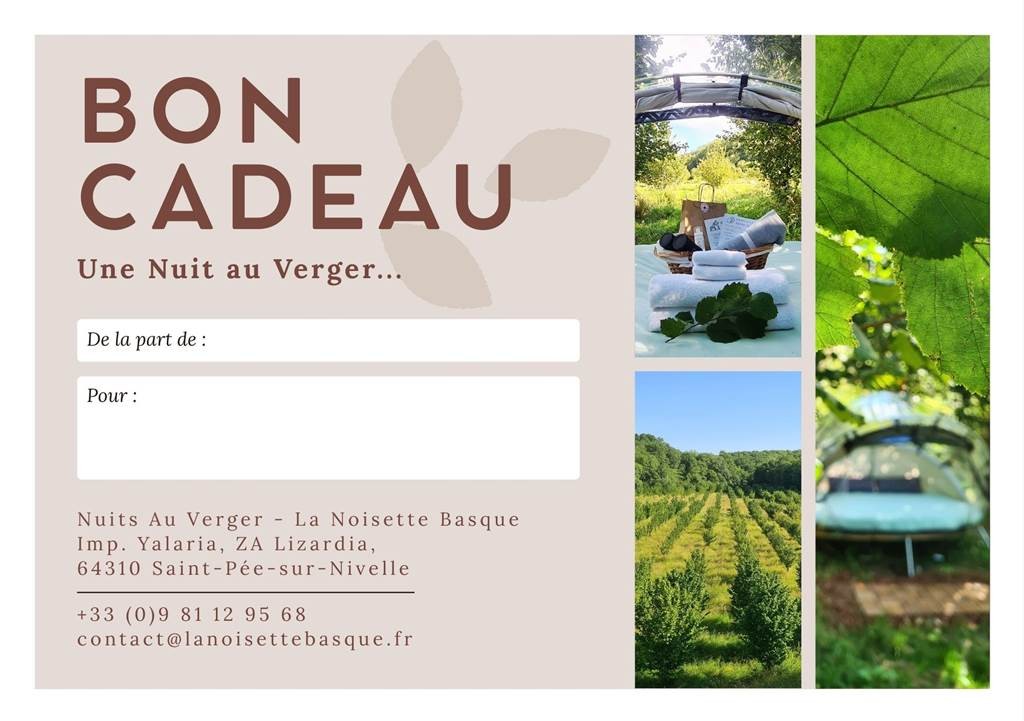 Cartes cadeaux - Bonjour Fun