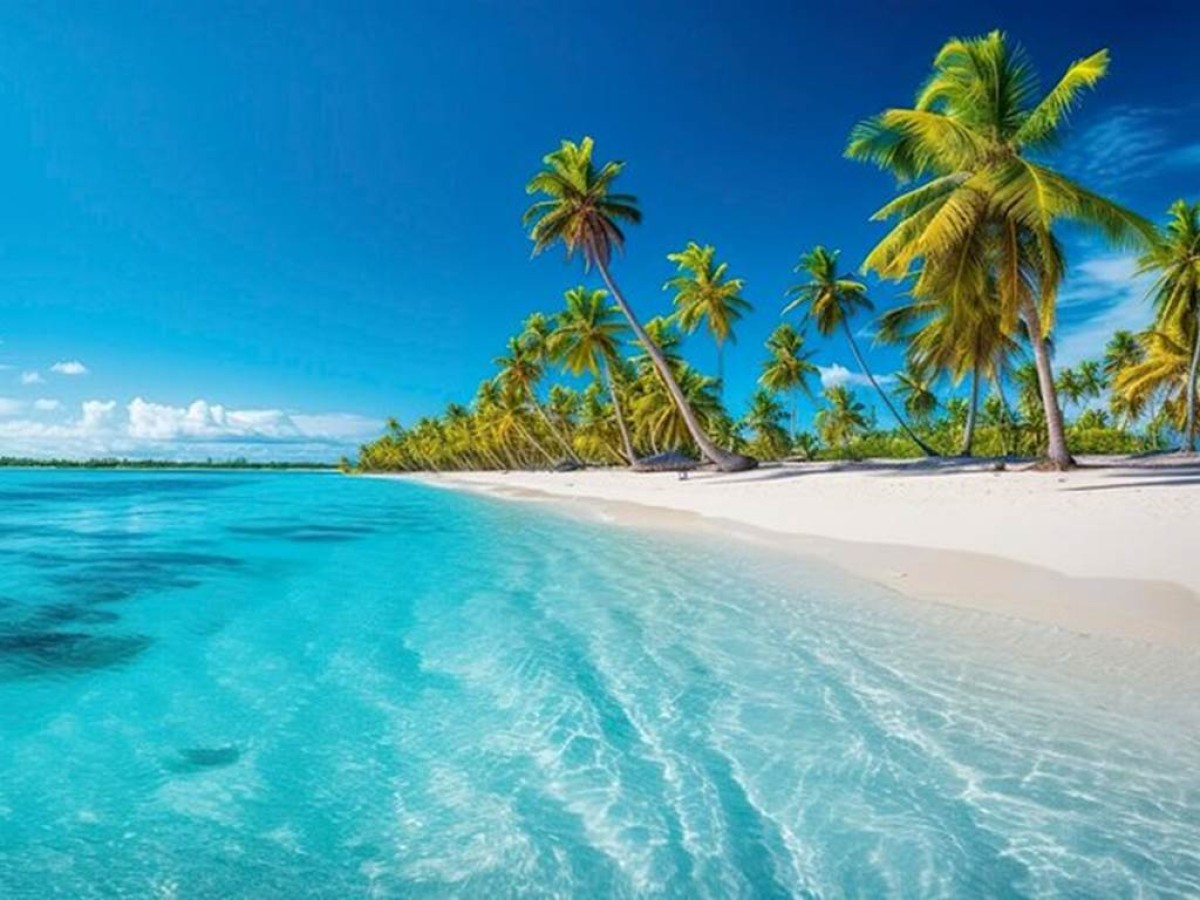 Catalina Island: A Submarine Paradise in the Caribbean - Bonjour Fun