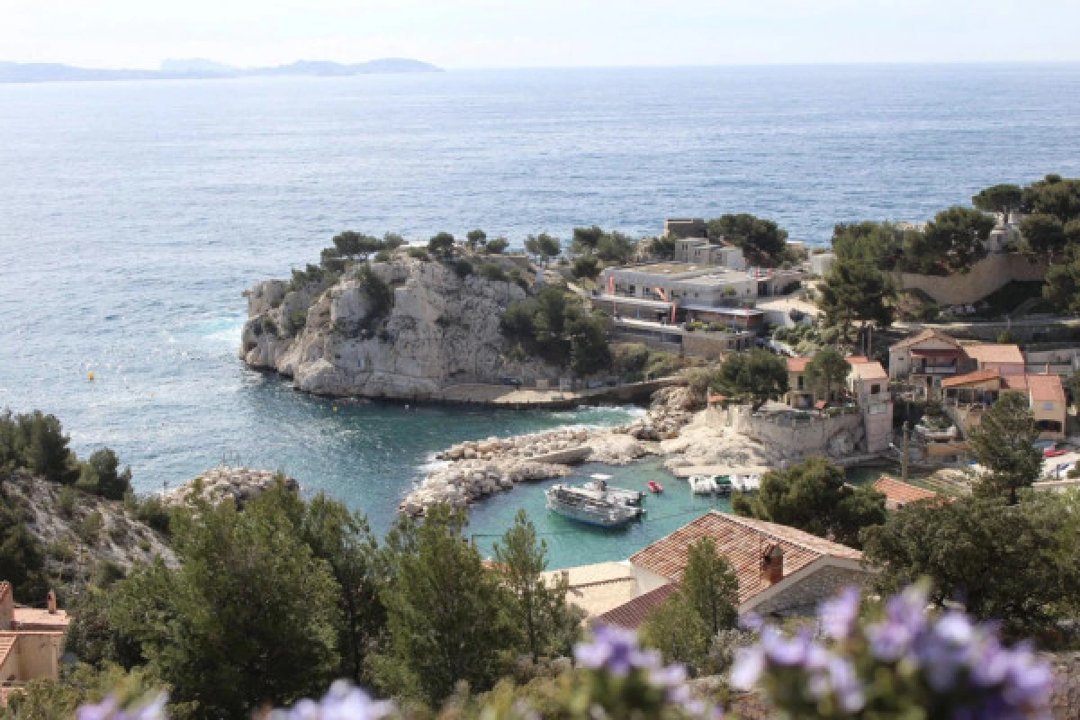 Catamaran dans la baie de Marseille. Départ l'Estaque - Bonjour Fun