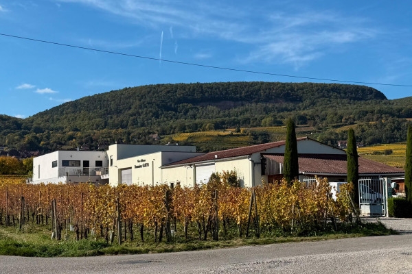 Cave de Noël – Vins d’Alsace bio & Délices de Fêtes - Bonjour Fun