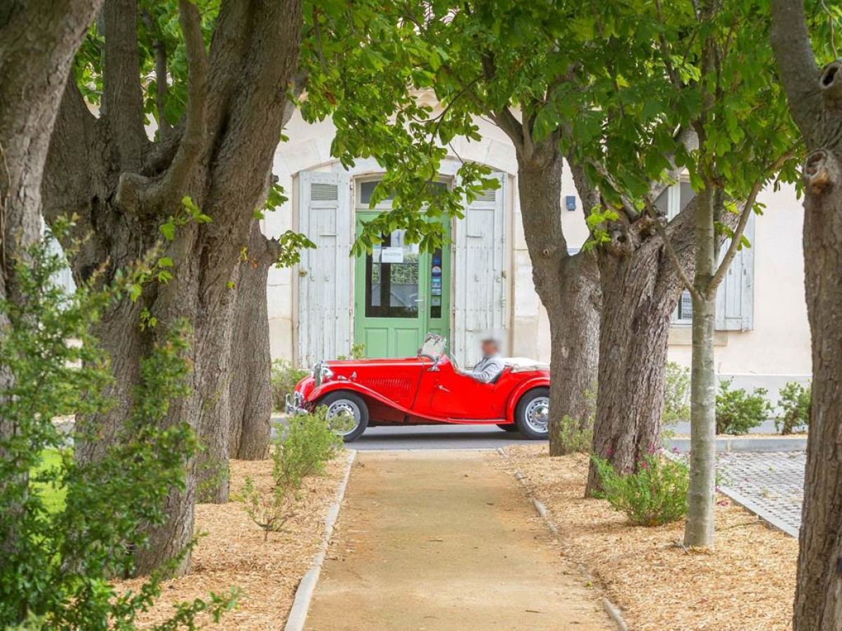 Cerise Carcassonne Sud - Bonjour Fun