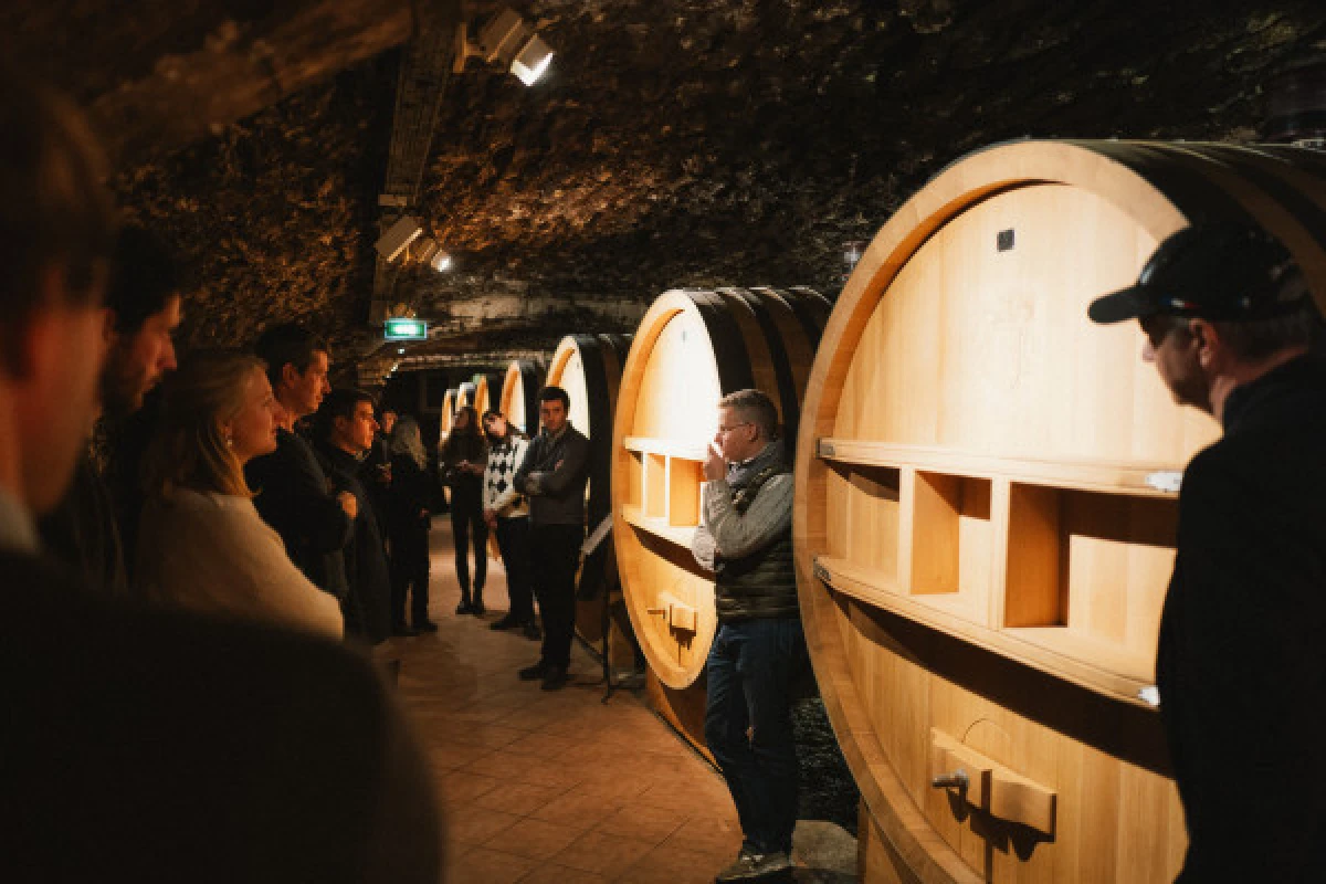 Chateauneuf-du-Pape : Truffes, Vins et Saveurs - Bonjour Fun