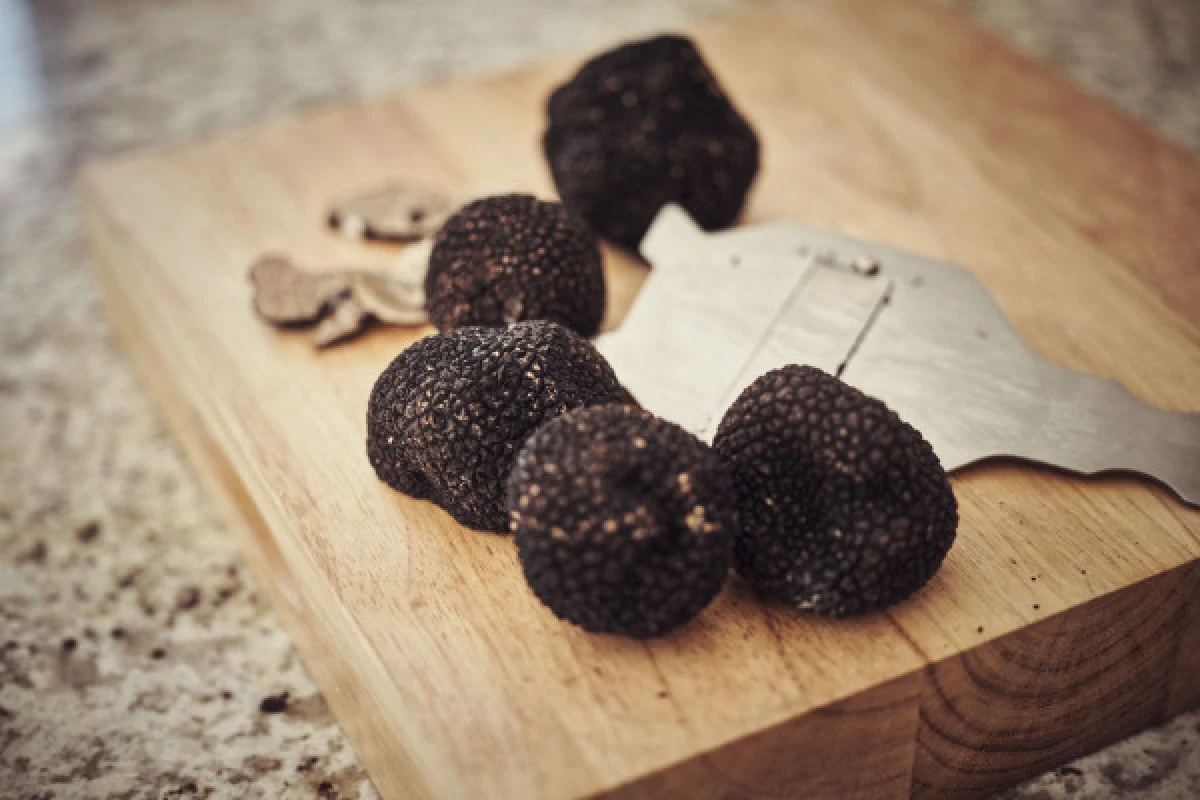 Chateauneuf-du-Pape : Truffes, Vins et Saveurs - Bonjour Fun