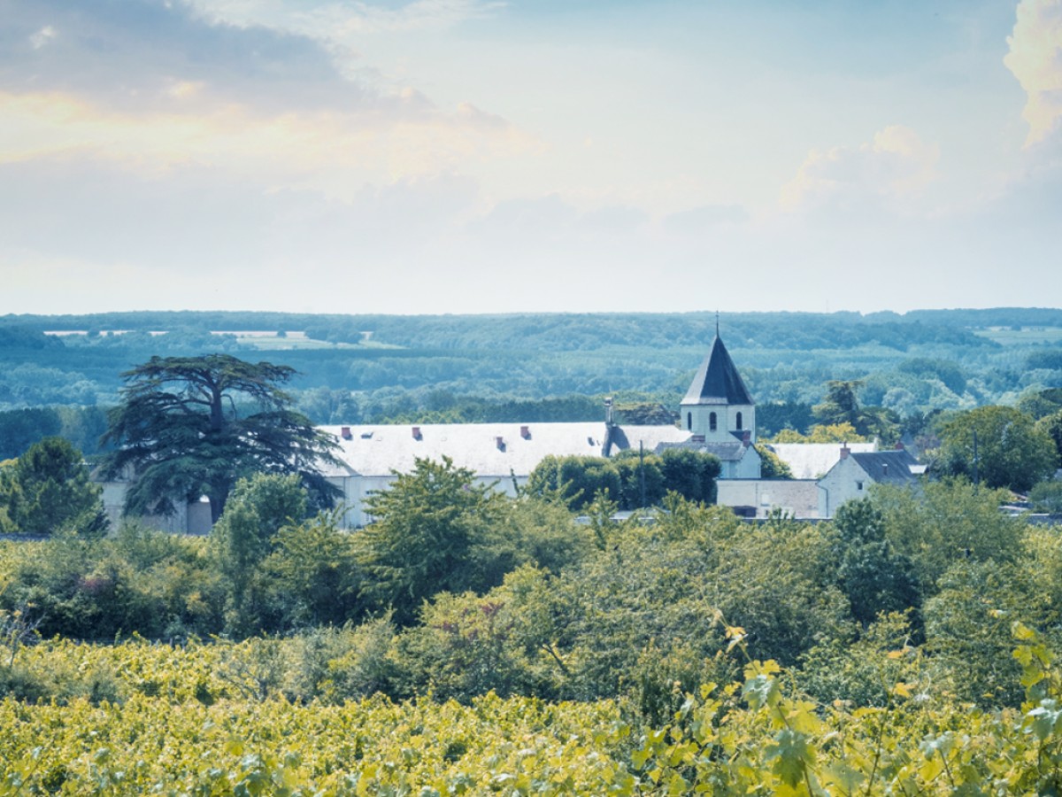 Chez Pierre & Bertrand Couly - Bonjour Fun