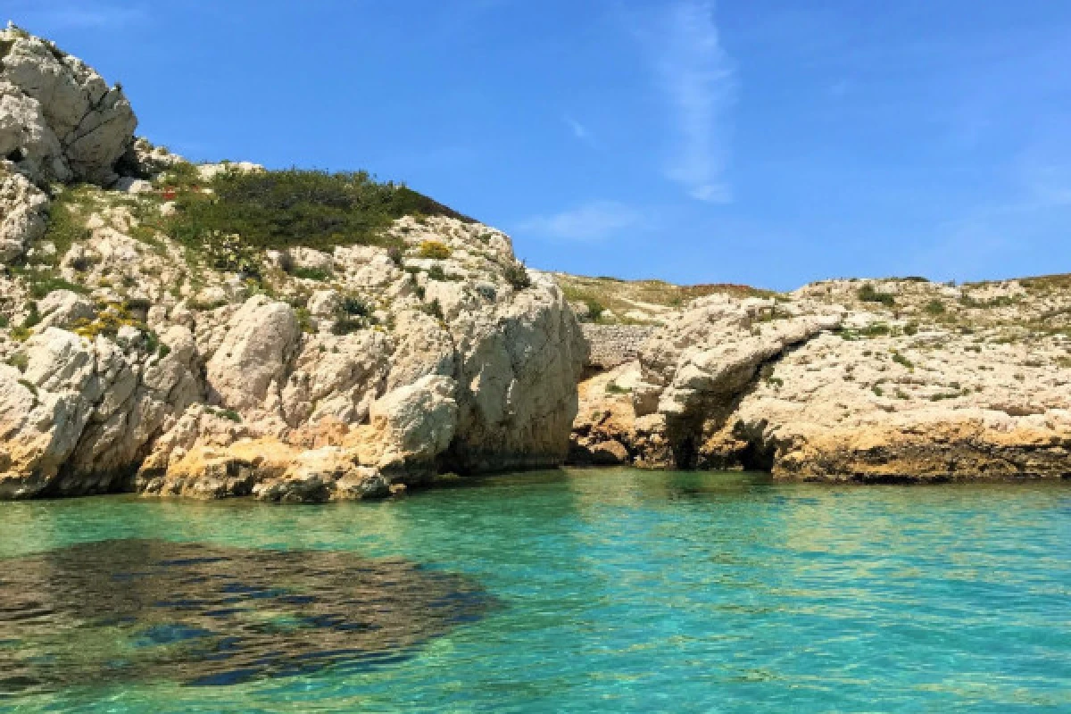 Circuit 2 h découverte de Marseille par la mer - Bonjour Fun