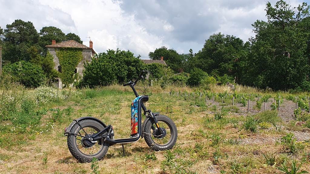 Circuit en trottinette tout-terrain avec dégustation au Château La Louvière - Berceau de l'appelation Pessac-Léognan (1h30) - Bonjour Fun