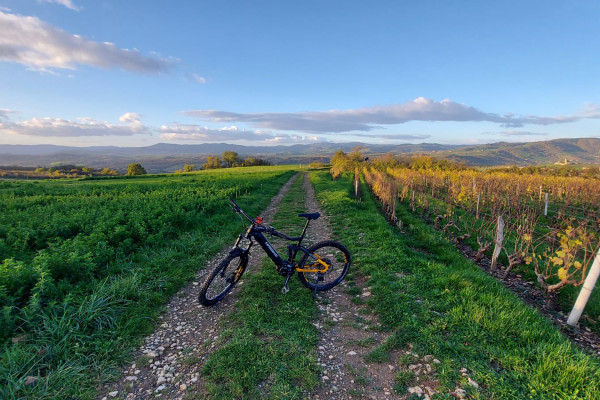 CIRCUIT "VERT" - Bonjour Fun