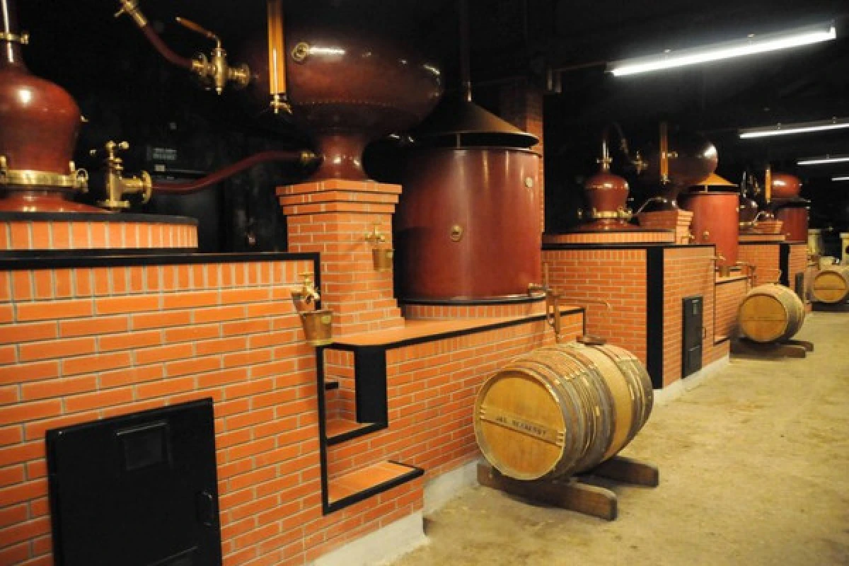 Cognac en tour privé depuis Bordeaux (Berline / Van) - Bonjour Fun