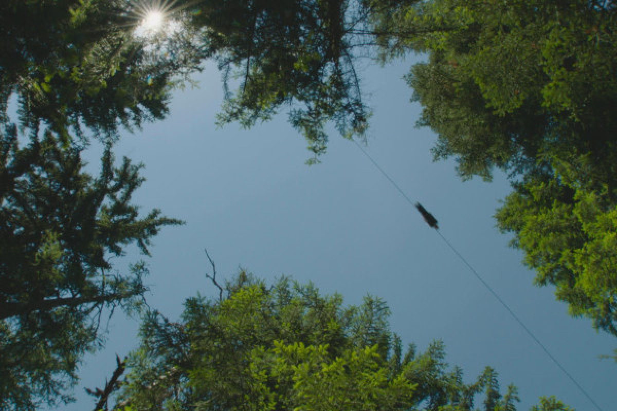 Colmiane tyrolienne  - ECA - Bonjour Fun