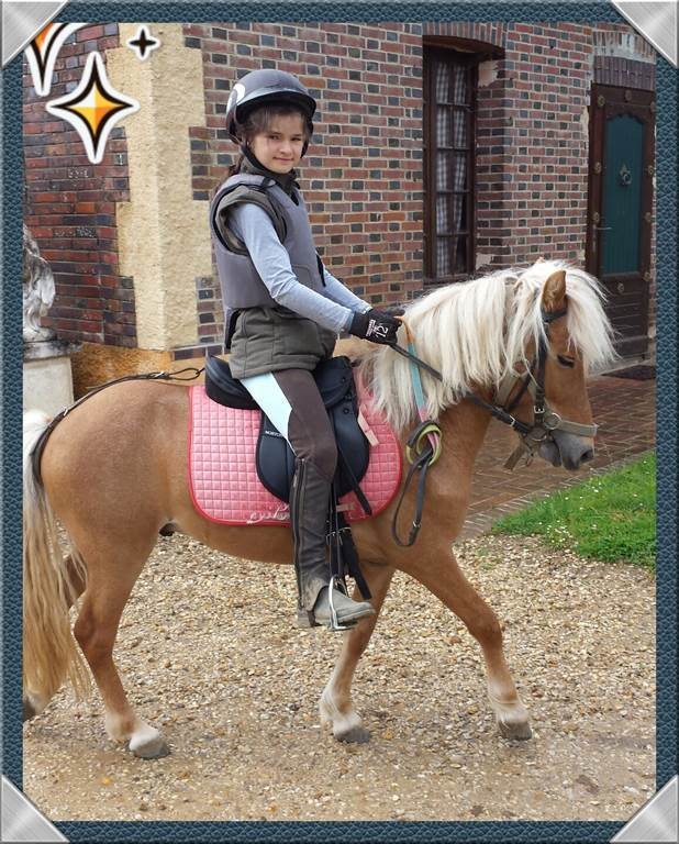 Contrat Membres club SCHOOL Cheval - Bonjour Fun